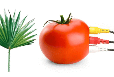 Pomodoro-cibo-utile-prostata